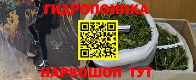 винт Гусь-Хрустальный