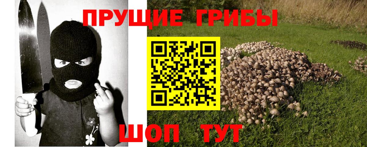 Галлюциногенные грибы ЛСД  Вход с VPN  Медногорск 
